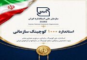 استاندارد سازی "مربی‌گری سازمانی" در ایران؛ شاهکار دانشیار سنندجی