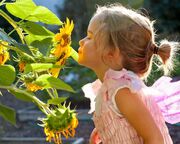 آموزش «بوییدن» به کودکان؛ راهی برای بهبود سلامت روان و درک بهتر جهان