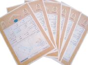 تاکید دادگستری البرز بر تعیین‌تکلیف فوری اسناد عادی و جلوگیری از بلاتکلیفی املاک