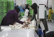 تعاون؛ کلید عبور گلستان از خام‌فروشی و بیکاری