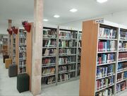 کتاب از قفسه تا خلوت خانه