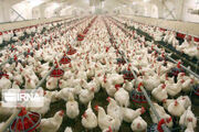 ۱۰ هزار میلیارد ریال برای پایداری تولید کشاورزی خراسان‌شمالی در زمستان