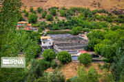 چهارمحال‌ وبختیاری نخستین استان دارای زنجیره کامل ارزش ماهیان سردابی است
