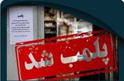 پلمب سه واحد غیرمجاز تولید خوراک دام در ساوه