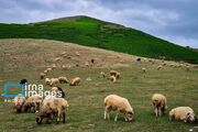 سامانه بارشی جدید از بعدازظهر شنبه وارد مازندران می‌شود