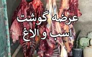 کشف ۲۵۴ کیلوگرم گوشت حیوانات تک‌سمی در جنوب تهران؛ دستگیری ۵ متهم