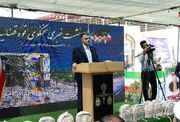 سخنگوی قوه قضاییه: بمباران مدرسه میناب، هدف قرار دادن اخلاق و انسانیت در جهان بود
