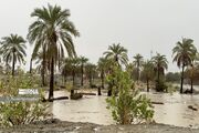زنگ آماده باش سلامت خوزستان در برابر پدیده ال نینو