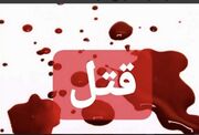 پایان تلخ یک اختلاف خانوادگی در محمدشهر؛ قاتل پس از جنایت جان باخت