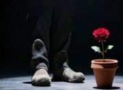 «کامل نیستیم» در تماشاخانه طهران/ وقتی کمال‌گرایی منجر به مرگ می‌شود