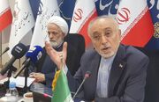 صالحی: پرچم ایران حلقه پیوند چهار هزار ساله حافظه ایرانی است
