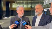 صالحی: با دیپلماسی فرهنگی، پیام هویت و حماسه ایران را به جهان منتقل می‌کنیم