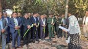 دلگرمی اهالی منطقه کم‌برخوردار شرق سمنان به سفر معاون رییس جمهور + فیلم