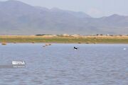 جشنواره تالاب آق‌گل؛ هم‌صدایی مردم و مسوولان برای تامین حق‌آبه و احیای تالاب