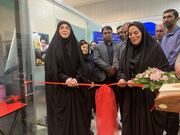 نمایشگاه «هزار میدان هزار بازار» در قائمشهر برپا شد+فیلم