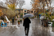 شاد زی ایران! به لطف مطرب باران