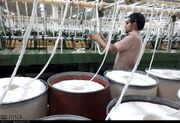 واردات بی‌رویه و ورود کالا از مسیرهای ملوانی و کولبری به ضرر تولید است