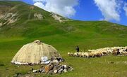 عشایر اردبیل از ارتفاعات و مسیل‌ها خارج شوند