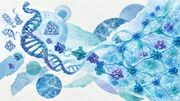 حرکت از مقیاس نانو به شبکه‌های هوشمند با هیدروژل‌های DNA–پروتئین