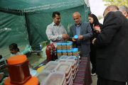 برگزاری سومین جشنواره بادام و عسل در بخش بیلوار کرمانشاه