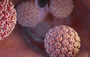 کمترین شیوع HPV در خراسان‌شمالی و فرصت طلایی برای پیشگیری