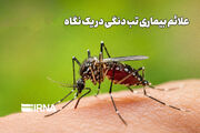 علائم تب دنگی در یک نگاه