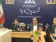 انصاری: رویکرد محیط‌زیست با صنایع تعاملی است