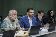 نیکزاد: دولت بخش قابل توجهی از مطالبات گندم‌کاران را پرداخت کرده است
