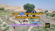 توقف کشاورزی با رودخانه کُمبُل گچساران بدلیل پساب شهری یا بیمارستان؟!