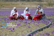 رشد ۲۵ درصدی بیمه‌شدن زنان روستایی و عشایری خراسان‌شمالی