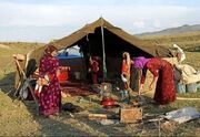 زیر سایه سیاه‌چادرها؛ روایتی از زندگی عشایر فارس