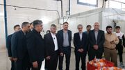 صادرات بیش از هزار تن فرآورده خام دامی همدان به چهار کشور