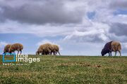 آسمان ابری و مه‌آلودگی هوا وضعیت جوی گیلان است