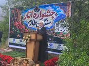 علیخانی: ارتقای طارم سفلی در حضور وزیر کشور مطرح شد