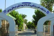 ۵ بوشهری در جمع پژوهشگران پراستناد یک درصد برتر جهان قرار گرفتند