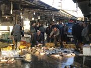 بازگشت رونق به بازار ماهی‌فروشان مازندران با سنت «چوزنی»