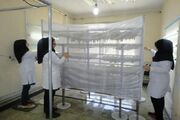 ۱۵۵۰ هکتار از مزارع آذربایجان‌غربی زیر پوشش حشرات مفید قرار گرفت