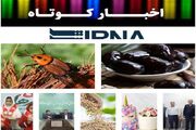 نیم‌نگاهی به خبرهای کوتاه هرمزگان؛ از برپایی جشن عاطفه‌ها تا جشن تولد برای ۳۶۱ یتیم
