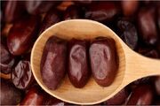 خرمای کریته؛ طلای شیرین «رودخانه» در مسیر بازارهای جهانی
