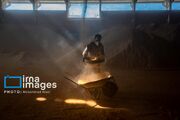 از دانه تا امنیت غذایی
