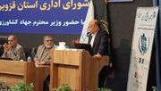 ۱۸۰ هزار شاغل در حوزه قارچ منتظر حمایت بانکی هستند