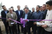 بزرگترین باغ زیتون کشور در زنجان افتتاح شد