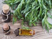 رایحه خوش «ترخون» برای شکوفایی اقتصادی گلباف استان کرمان