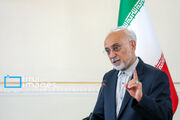 صالحی: آمریکا نه می‌تواند ایران را تجزیه کند،نه حکومت را تغییر دهد