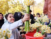 واکاوی نقش جشنواره‌ها در توسعه زیرساخت گردشگری مازندران