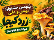 پنجمین جشنواره زردکیجا در میاندورود برگزار می‌شود