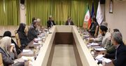 بهره‌گیری از سرمایه هنر، نیازمند بازنگری در مقررات است/ تشکیل شورای عالی هنر و ادبیات