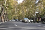 کاشت ۱۰۰ اصله درخت در خیابان ولیعصر/ سرنوشت ساخت هتل ولنجک