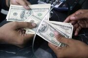 فروش دلار با کارت ملی آغاز شد + قیمت