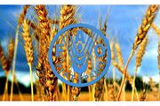 فائو: استفاده از فناوری هسته‌ای برای غلبه بر ناامنی غذایی ضروری است